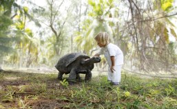 Seychelles Island-Hopping