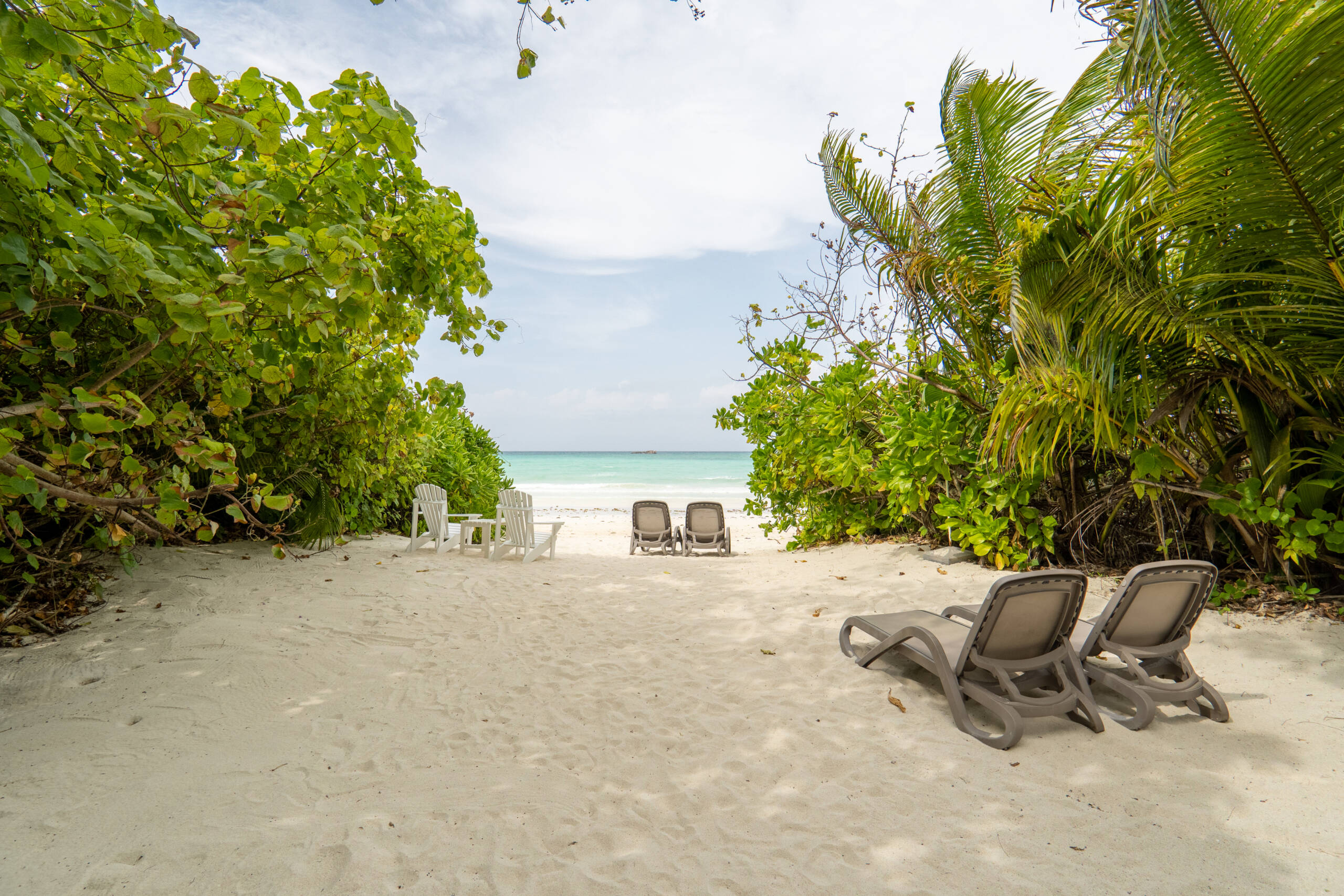 BEACH AREA