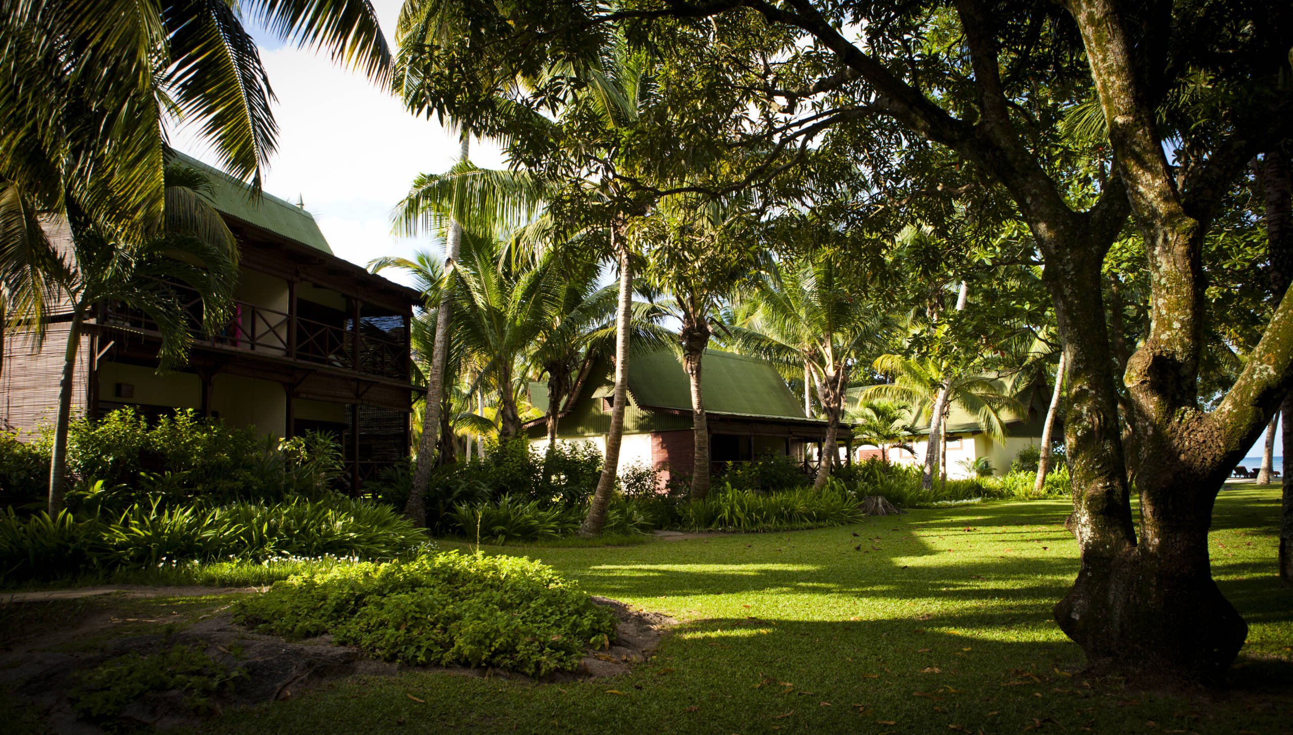 Paradise Sun -4038