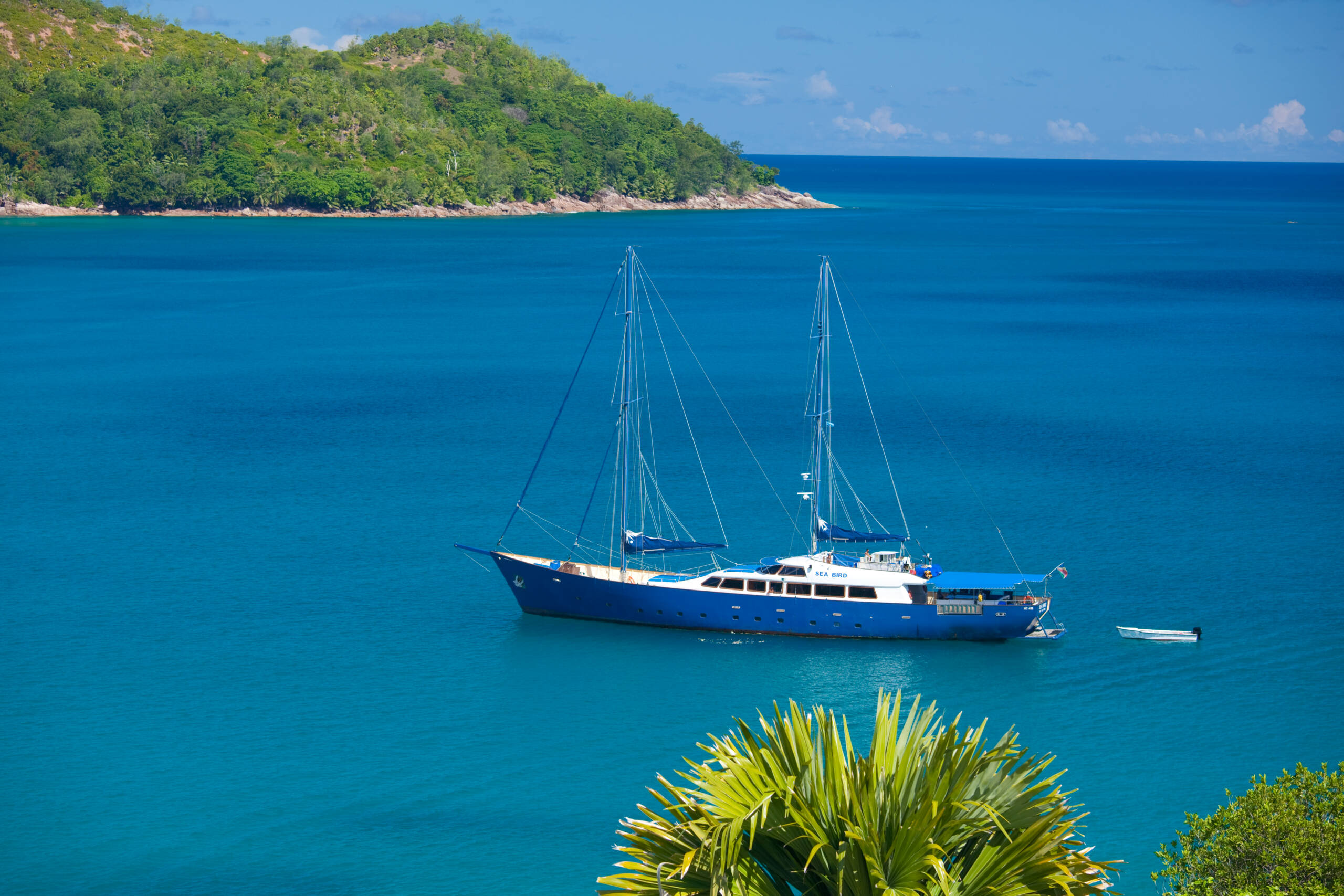 Sea Bird, Silhouette Cruises by Seychelles island | Just Seychelles