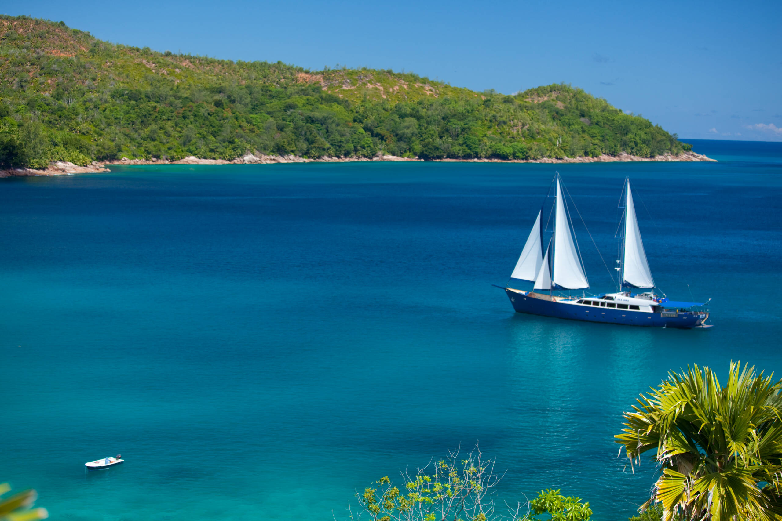Sea Bird, Silhouette Cruises, sailing near island in the Seychelles | Just Seychelles