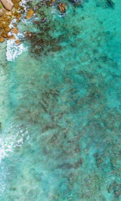 Aerial view of the beach on Cousin Island | Just Seychelles