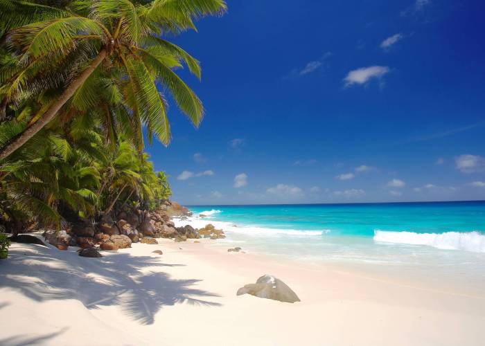 Anse Victorin, Fregate Island | Just Seychelles