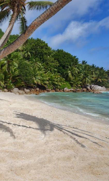 Beach_Grand_Anse_Hammock_Guest_3