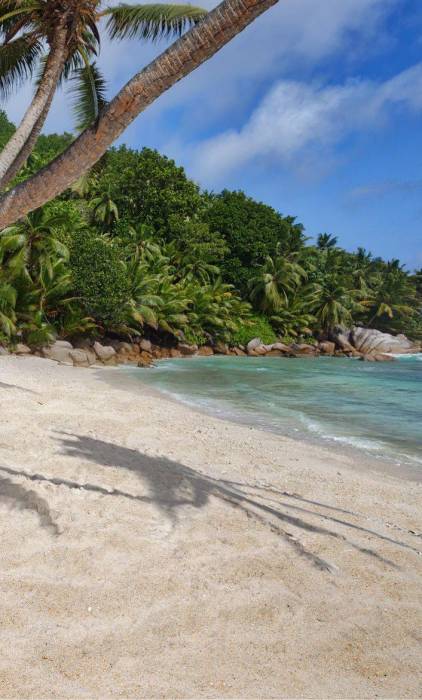 Beach_Grand_Anse_Hammock_Guest_3
