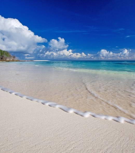 Bird Island East Coast | Just Seychelles