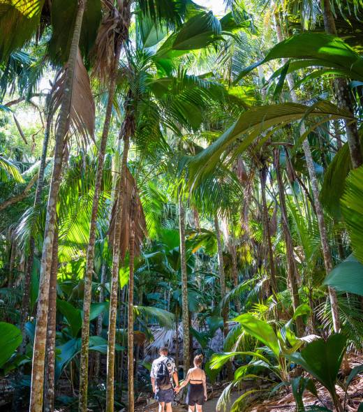 Couple walking through Vallée de Mai, Praslin | Just Seychelles