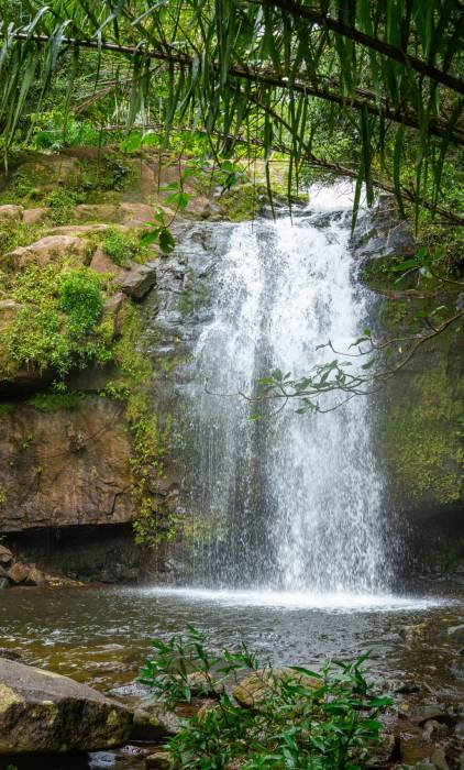 Waterfall at Cascade, Mahe | Just Seychelles