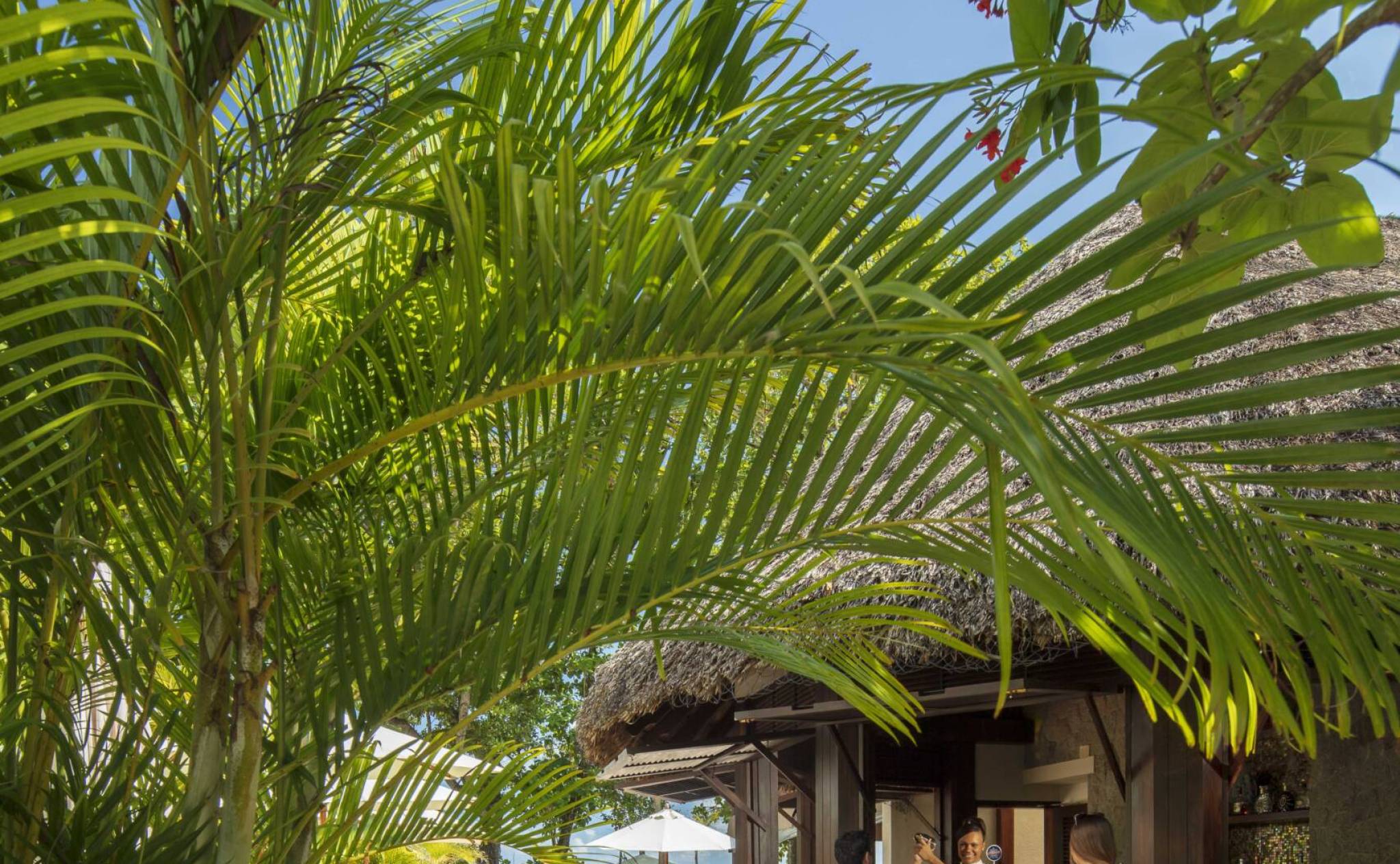 Couple by the bar at STORY Seychelles, copyright: Wayne Chasan | Just Seychelles